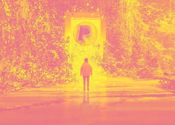 PayPal Exploring Launch of Its New Stablecoin in Push for Crypto Adoption: Report