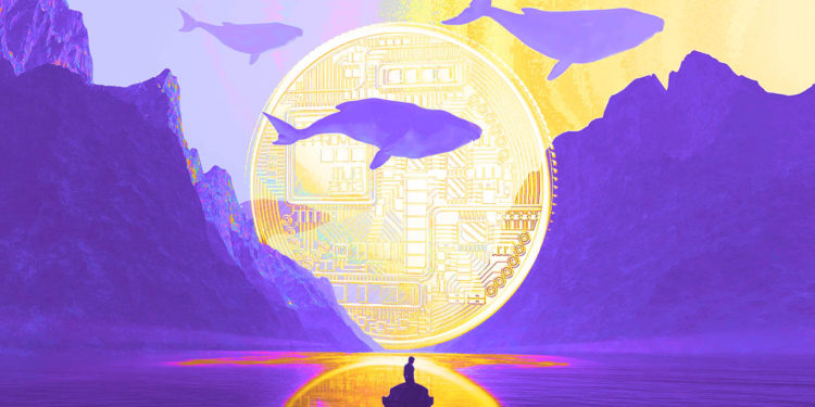 Large Ethereum Whale Splurges Over $100,000,000 on FTX Token (FTT), Polygon (MATIC) and Three Other Crypto Assets