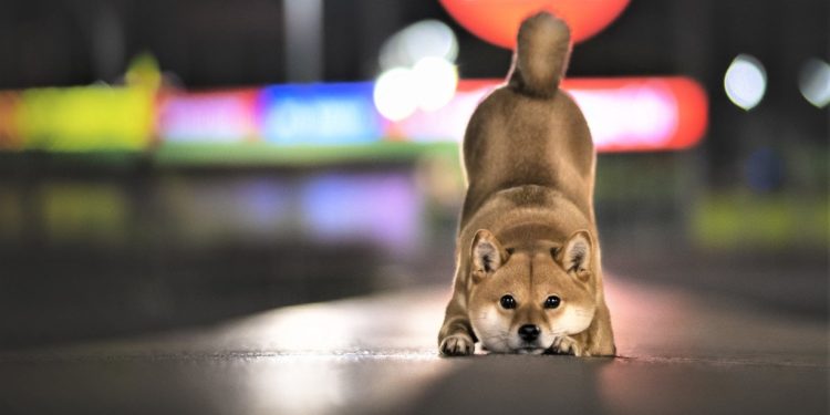 Shiba DAO, Strategic Blockchain Gaming, Bank Loses to Bitcoin Miner + More News