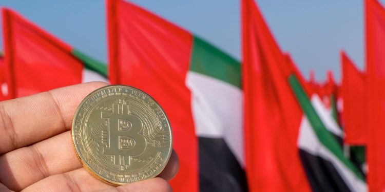 UAE to Strive for Virtual Service Provider Licenses before Q2