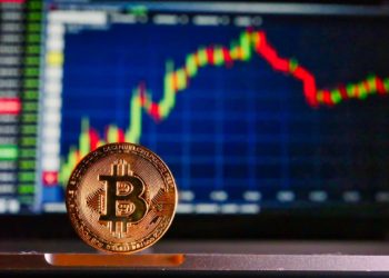 Bitcoin Halving To Bring The Subsequent Crypto Frenzy