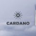 Survey Predicts Cardano (ADA) Hitting $58 By Year 2030