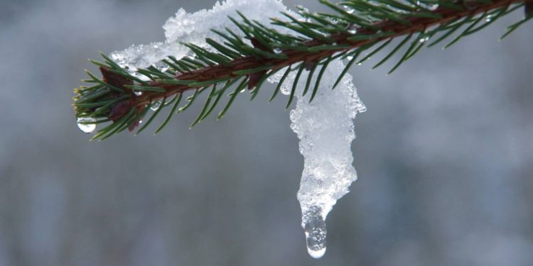 Crypto Winter Is Thawing With Bitcoin And Ethereum Rebound Signal