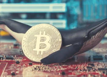 Chainalysis Reveals ‘Criminal Whales’ Hold $25 Billion In Digital Assets