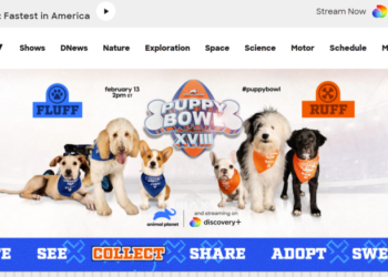 Puppy Bowl Partners With Chronicle For Exclusive NFT Collection