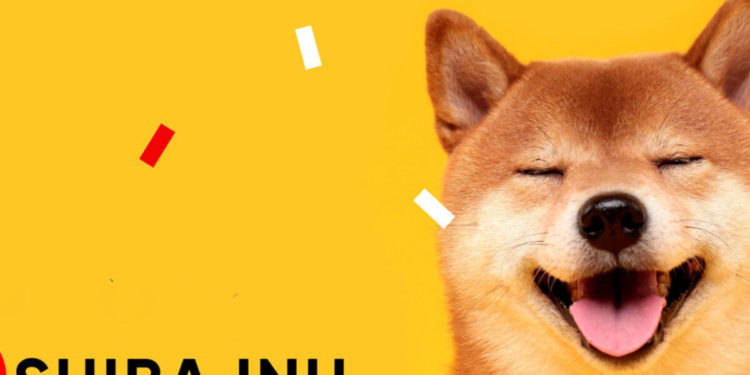 Shiba Inu Enters The Metaverse, But Will This Help Its Price?