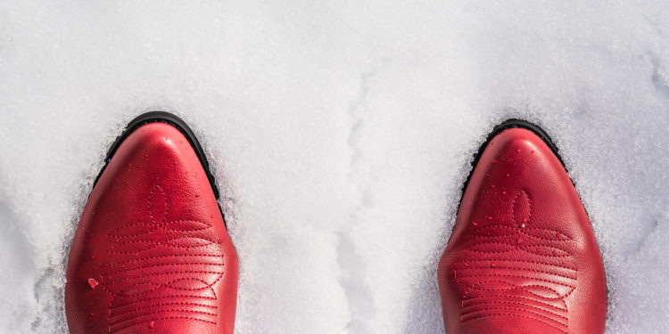 USD 150M Bet On ‘Extending’ Bitcoin, Miners Help Texas, Proof-of-Kraken, NFT Investments + More News