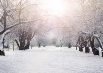 Crypto Winter or Not, Here’s Why Index Trading Can Help Spread the Risk