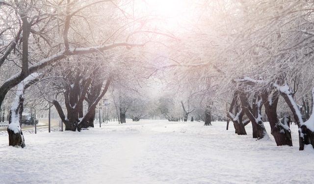 Crypto Winter or Not, Here’s Why Index Trading Can Help Spread the Risk