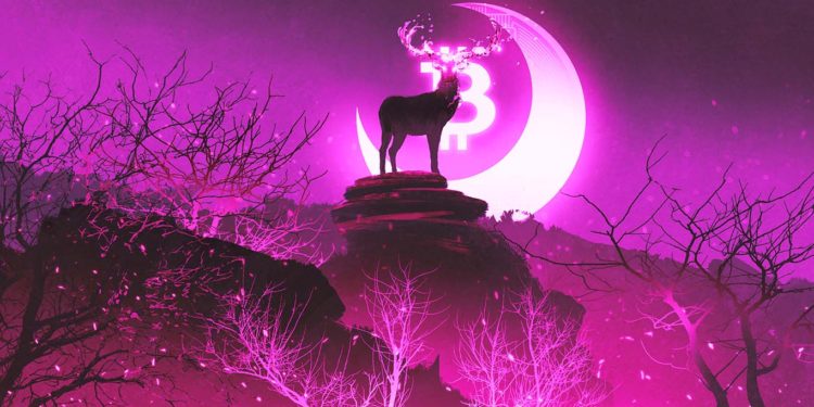 Bitcoin (BTC) Flashing Extremely Bullish Signal While One Ethereum (ETH) Competitor Bottoms Out: InvestAnswers