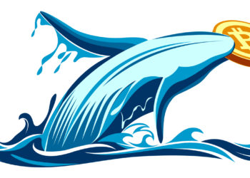 Bitcoin Whales Wreck Bears, This Is What Happened Last Time They Were Active