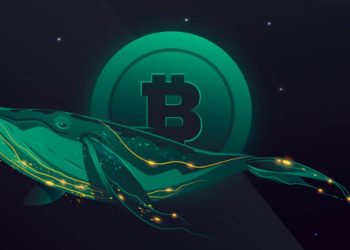 Criminal Whales Hold $25 Billion In Crypto Assets: Chainalysis Report