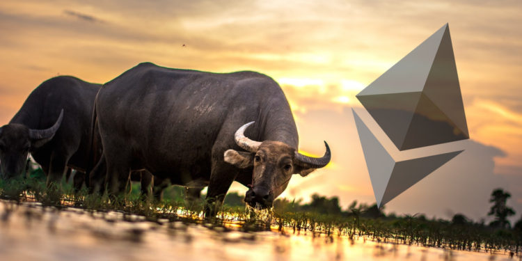 Why Ethereum Could See 4x Increase, Says This Model