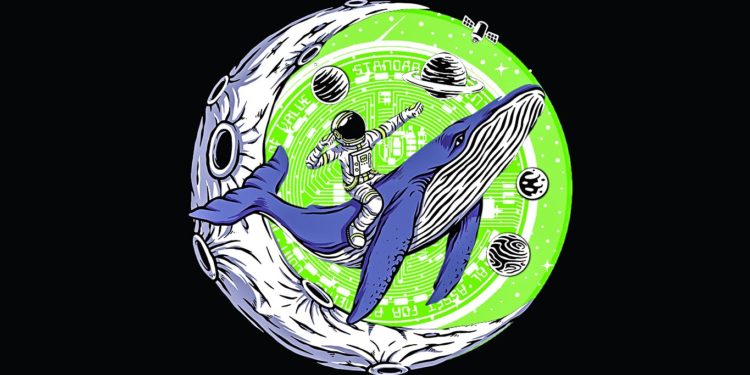 Ethereum Whales Are Pouncing on Little-Known Altcoin That Coinbase Just Listed