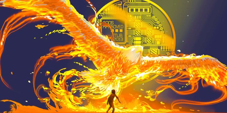 Explosive Mid-Cap Altcoin Will Become One of the Largest Crypto Assets on the Market, According to Coin Bureau