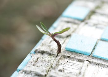 In A Turbulent Market, UST Growth Continues