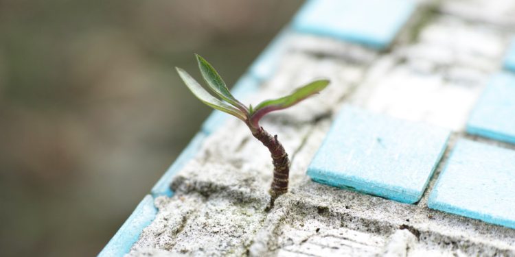 In A Turbulent Market, UST Growth Continues