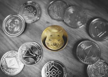Shiba Inu Barks At Bears With 25% Gains, But Social Media Continues To Trend Dogecoin