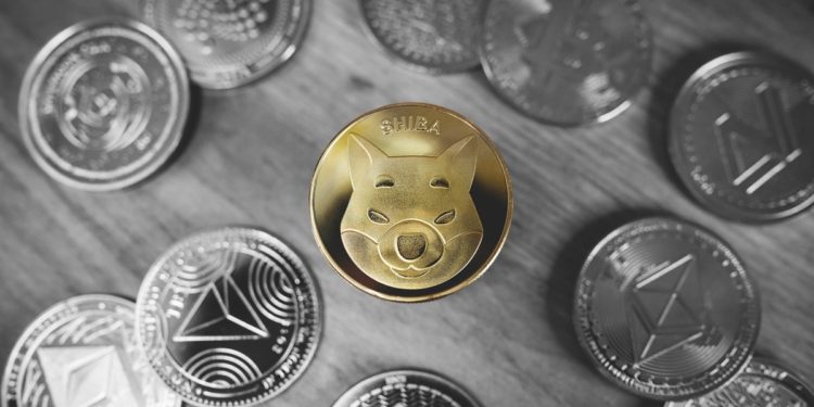 Shiba Inu Barks At Bears With 25% Gains, But Social Media Continues To Trend Dogecoin