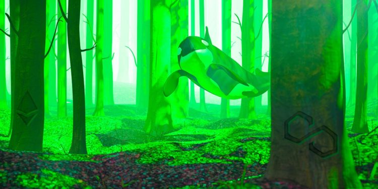 Ethereum Whales Accumulating ETH, Polygon (MATIC) and This Metaverse Altcoin Over Past Week: WhaleStats