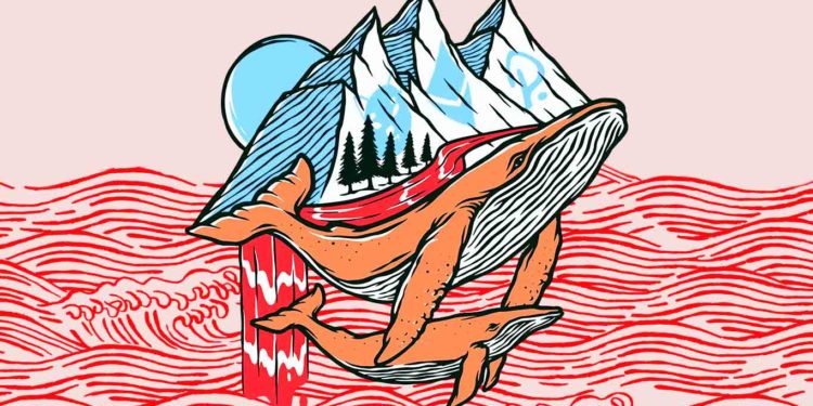 $2,800,000,000 Crypto Whale Scoops Up Shiba Inu (SHIB) on Binance Smart Chain As Others Stack Ethereum (ETH) and Polkadot (DOT)