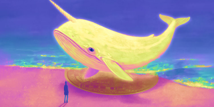 Crypto Whales Take Advantage of Dip, Swoop In on Ethereum (ETH) and Four Altcoins: Analytics Firm Santiment