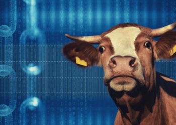 Australian BeefLedger Blockchain Goes Into Administration