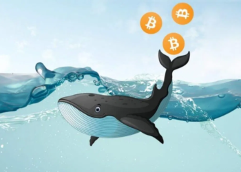 Massive Amount Of ‘Sleeping’ Bitcoin Moved After More Than 11 Years In Hibernation