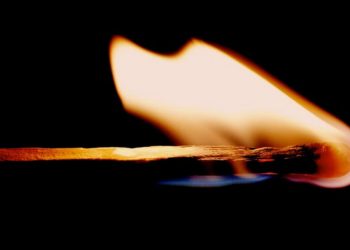 Cardano Soars 13% On Rumors Of Burn Mechanism, Hoskinson Reacts