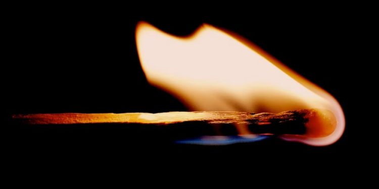 Cardano Soars 13% On Rumors Of Burn Mechanism, Hoskinson Reacts