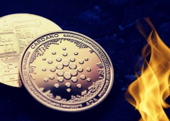 Cardano Exploring Token Burning Mechanism Similar To Ethereum