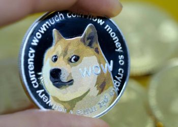 Dogecoin Sees Rapid Accumulation Following Price Drop To $0.11