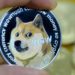 Dogecoin Sees Rapid Accumulation Following Price Drop To $0.11