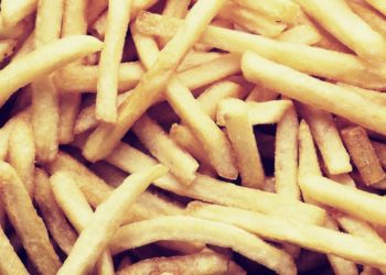 FriesDAO Raises $5.4 Million To Buy Fast Food Restaurant