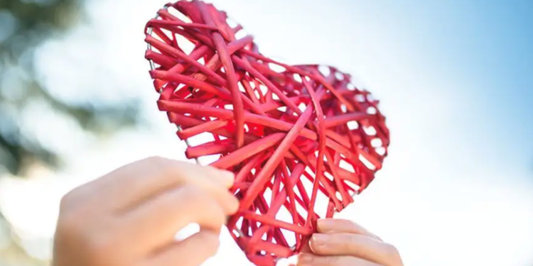 CoinEx Charity|Engaging in Charity & Advocating for Equitable Education