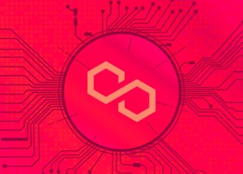 Rarible Adds Polygon To Newly Released Wallet Housing All Your NFTs