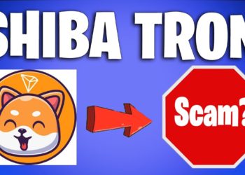 Shiba Tron, The Shiba Inu And Floki Inu ‘Killer’ That Soared 1,000%, Is A Potential Scam