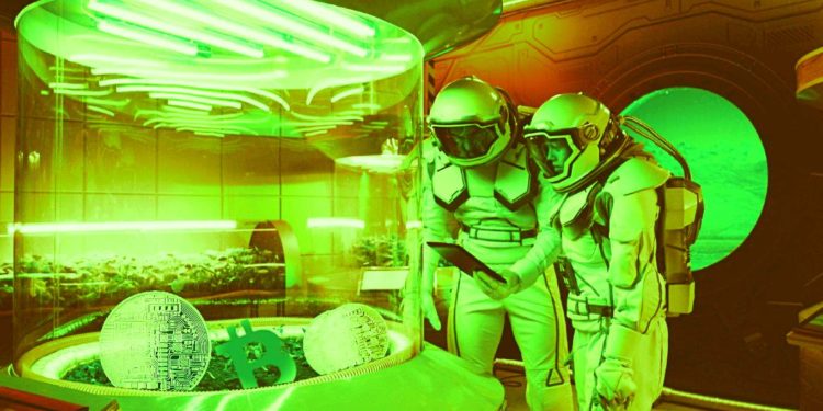 Ethereum Scaling Altcoin Surges 79% in Just One Week After $200,000,000 Funding Raise