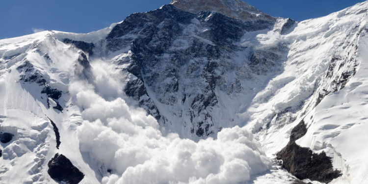 Here Are The Crypto Leading The Market Recovery With 50% Gains