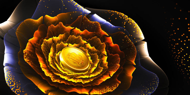 Real Vision Bot Known for Outperforming Crypto Markets Reveals Altcoin Holdings Centered on Ethereum Rivals and Gaming Projects