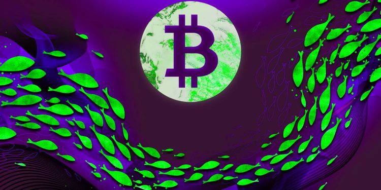 Stock Market Hinting at a Bitcoin Reversal? Crypto Analyst Benjamin Cowen Looks at Under-the-Radar Price Action