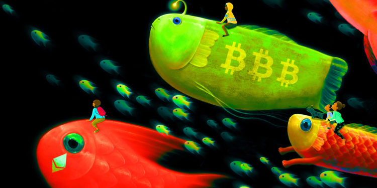 Crypto Analyst Issues Massive Price Warning for Bitcoin (BTC), Ethereum (ETH) and Three Altcoins – Here Are His Targets