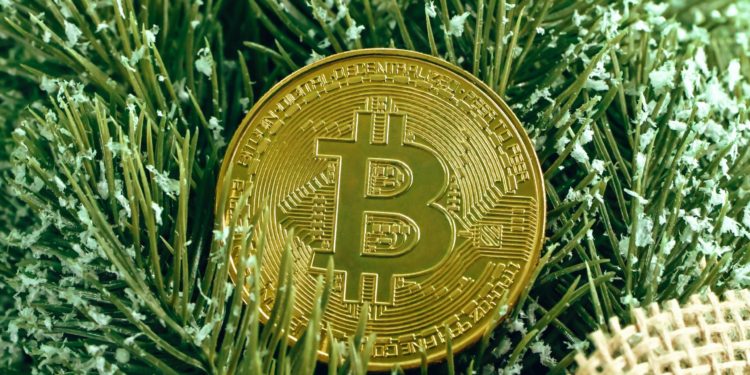 Data Shows Bitcoin Top Buyers Already Capitulated, New Bull Rally Here?