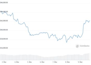 Bitcoin Rally Gets Support From ‘Watershed’ Executive Order, Rising Stock Market