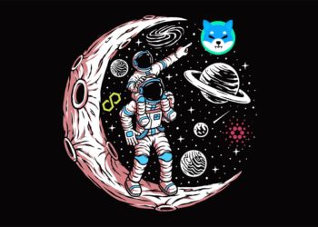 More Than 60% of Shiba Inu, Cardano and Polygon Holders Nursing Losses Amid Weak Crypto Bounce – Analytics Firm