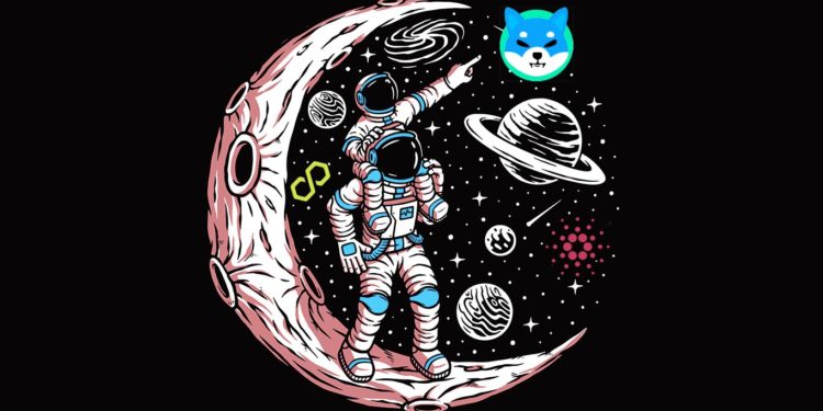 More Than 60% of Shiba Inu, Cardano and Polygon Holders Nursing Losses Amid Weak Crypto Bounce – Analytics Firm