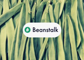Beanstalk Stablecoin Loses $182 Million In Flash Loan Exploit