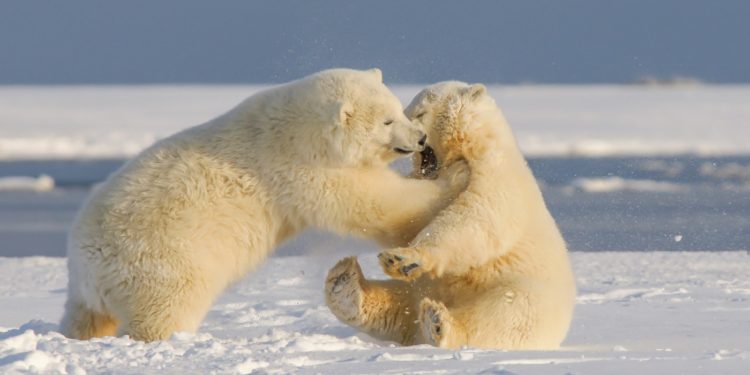 Bitcoin Continues To Slide As Macroeconomic And Geopolitical Anxiety Persist