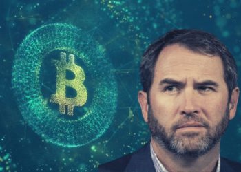 Ripple CEO Hits Out At Bitcoin Maximalists