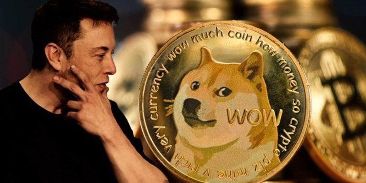 Dogecoin (DOGE) Trading Volume Plunges